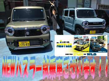 ＮＥＷハスラー登場！！